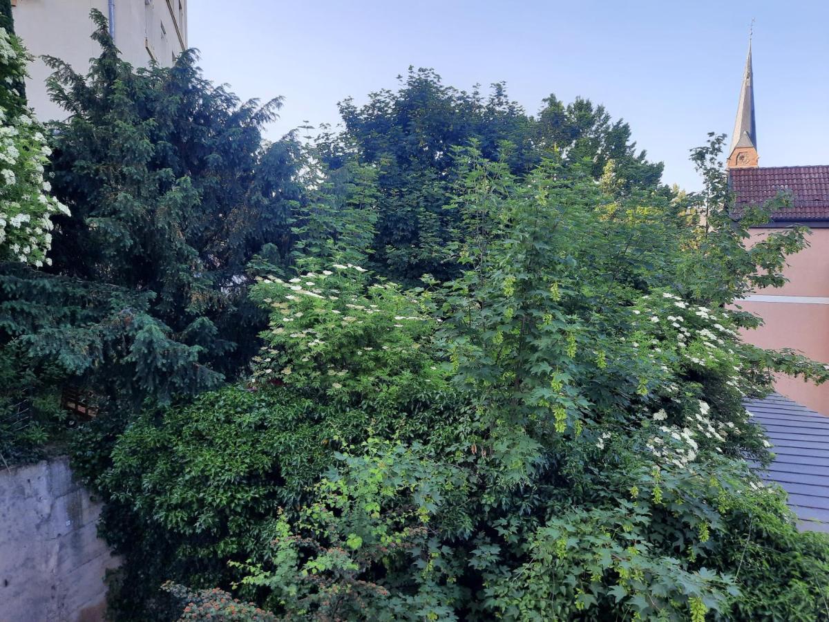 City Suite Gablenberg Stuttgart Kültér fotó